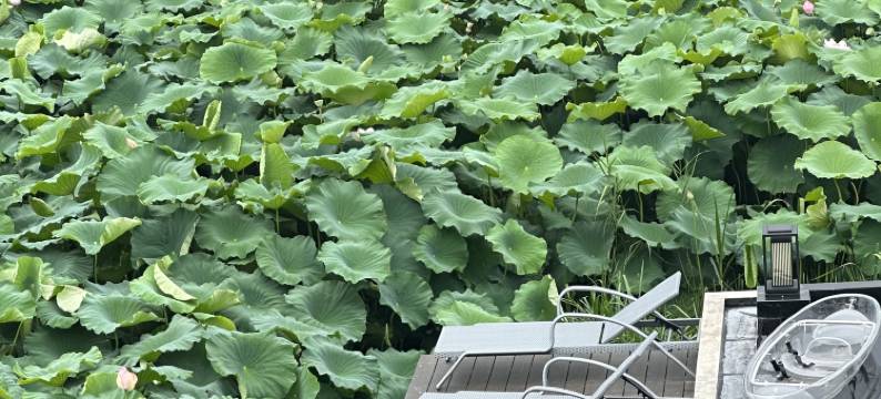 普者黑蕃坊涧民宿图片