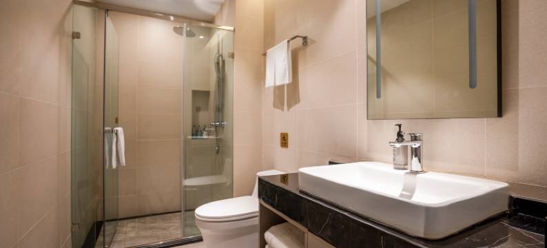 汉庭酒店(临沧云县澜沧江广场客运站店)图片