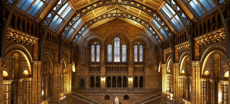 伦敦肯辛顿高街Viridian公寓(Viridian Apartments in High Street Kensington Serviced Apartments - Cheniston Gardens)图片