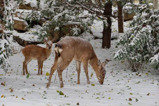北京在之禾酒店