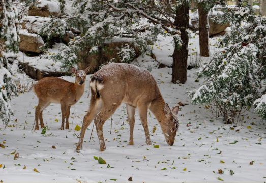 北京在之禾度假酒店