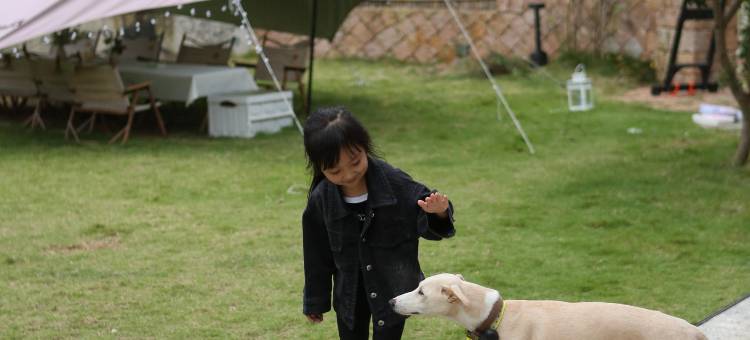 两只土拨鼠·野奢私汤度假莫干山民宿图片