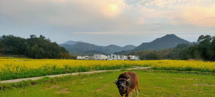 婺源·温馨休闲度假Villa美宿(江湾景区店)图片