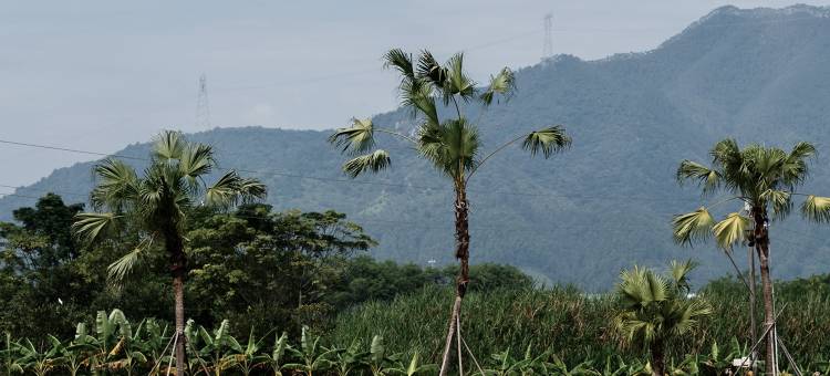 清远三禾稻里温泉度假村图片