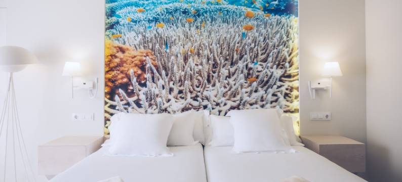 富埃特文图拉宫殿伊波罗之星精选酒店(Iberostar Selection Fuerteventura Palace)图片