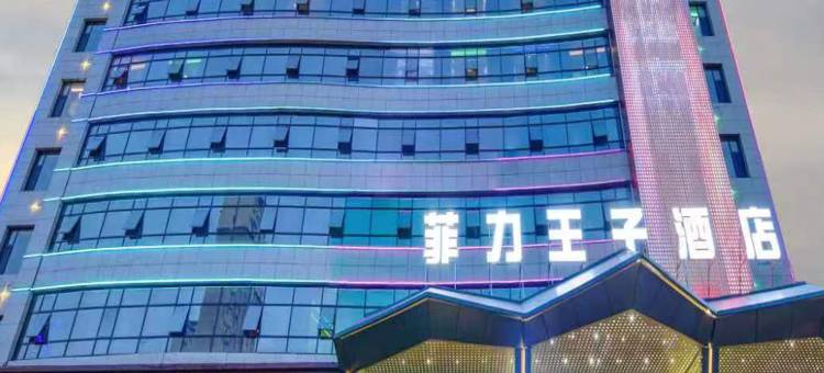 运城菲力王子酒店(南风广场店)图片