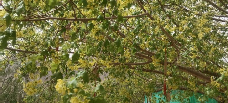 中卫沙坡头在水一方休闲农庄图片