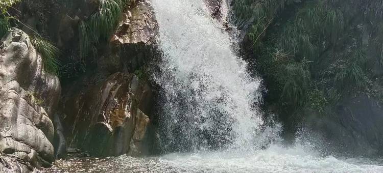 花筑·庐山三叠泉云雾四季民宿图片