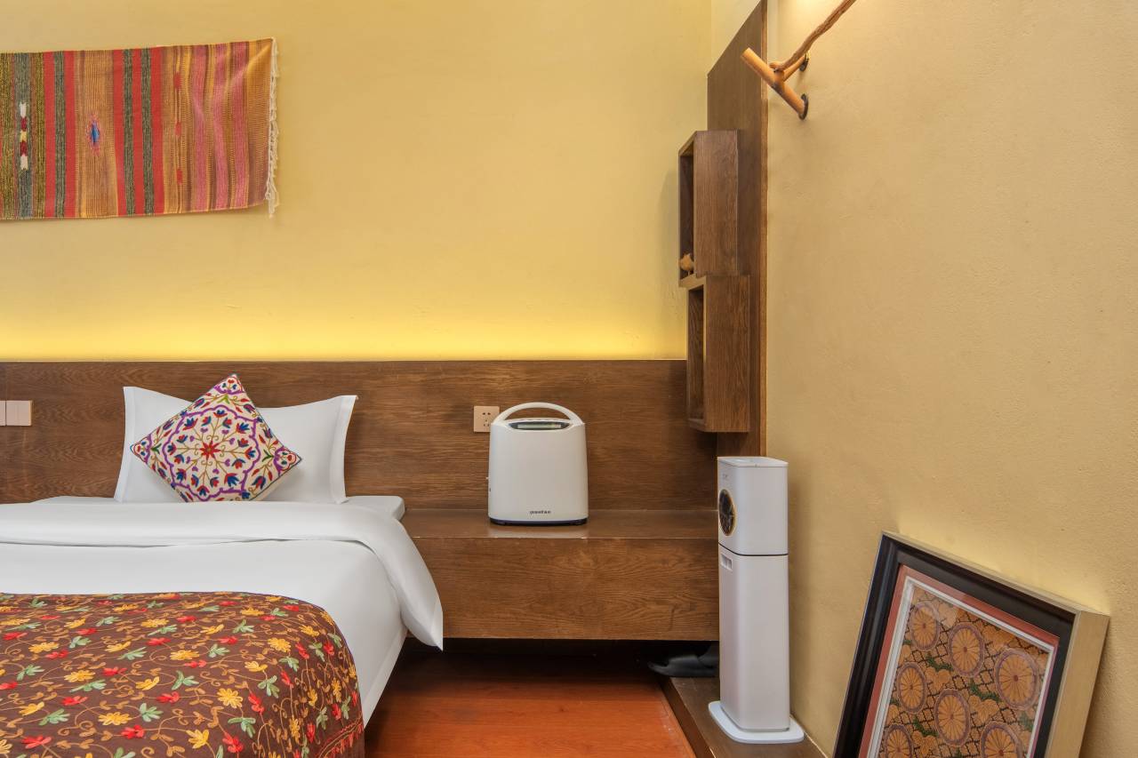 拉萨那庐·供氧观景唐卡民宿(布达拉宫店)图片