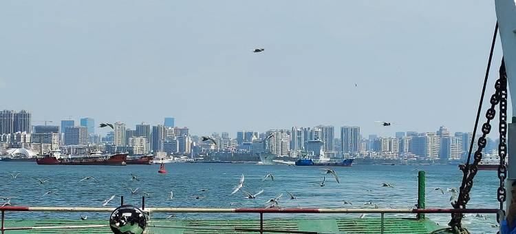 伯虎之家青旅(中澳友谊花园店)图片