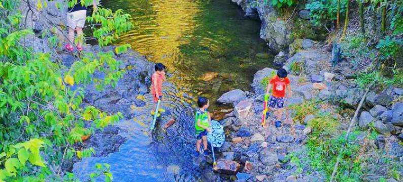 茂山·青田野图片