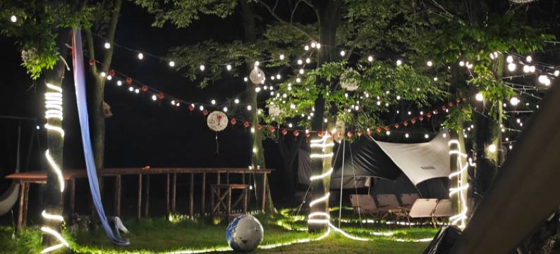 拾光森林民宿图片