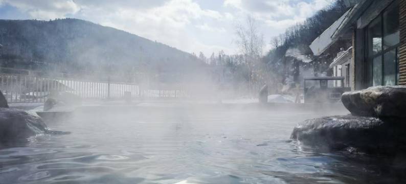 禧舍·侘寂中古度假庭院(长白山西景区旅游服务中心店)图片