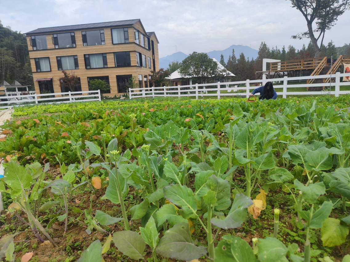 莫牛牛萌宠·亲子小牧场垂钓度假庄园(安吉店)图片
