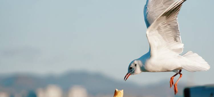 昆明华邑酒店(滇池)图片