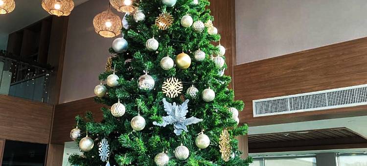 TEVA山谷度假村(Teva Valley Resort)图片