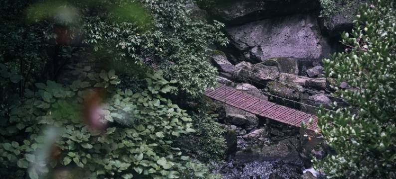 重庆朴乡金佛山度假酒店图片