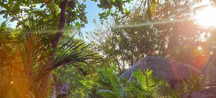 Surfer's Villa图片