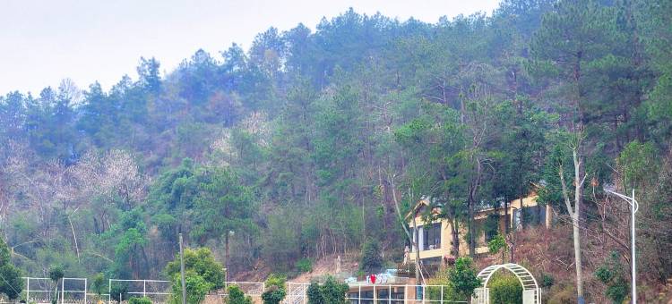 韶山隐凤居民宿(故居景区店)图片