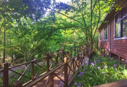 Foping Baima Star Boutique B&B Hotel Overview