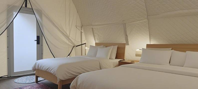 敦煌沙坡头野奢国际沙漠露营基地图片