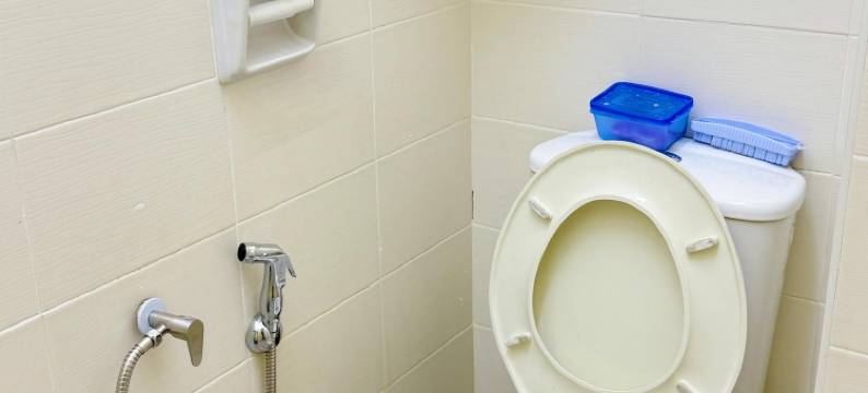 星月庭(Star & Moon Garden)图片