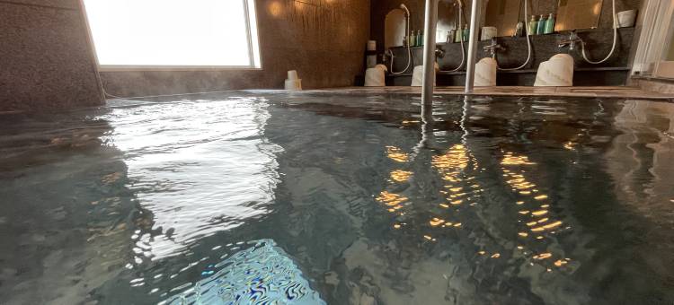 露樱酒店 岐阜羽岛站前(Hotel Route-Inn Gifuhashima Ekimae)图片