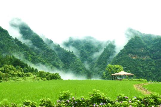 携程度假农庄(张家界缦心联营店)图片