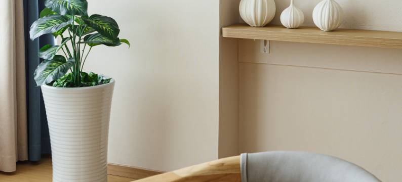 家和民宿(重庆杨家坪西城天街店)图片