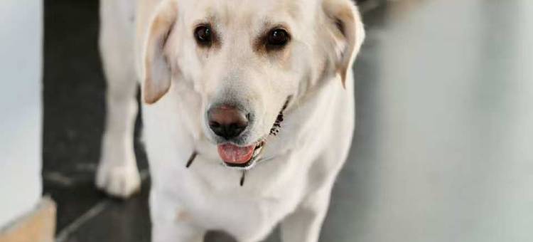 忻州古城壹城倾宿图片