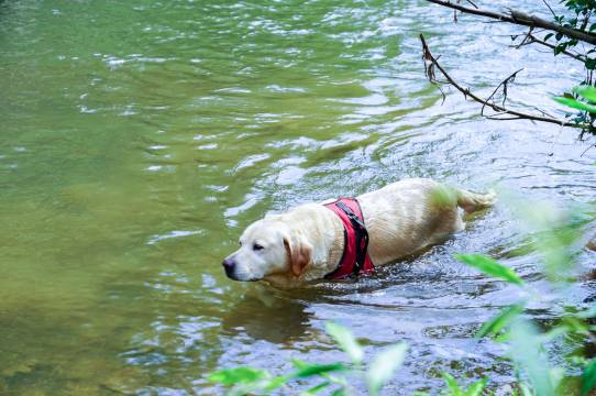 寓见小舍精品民宿图片
