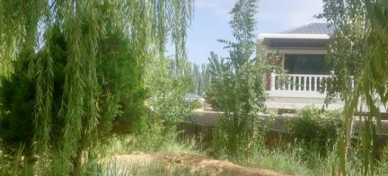 Q加·航宾管家宾馆(银川河东机场店)图片