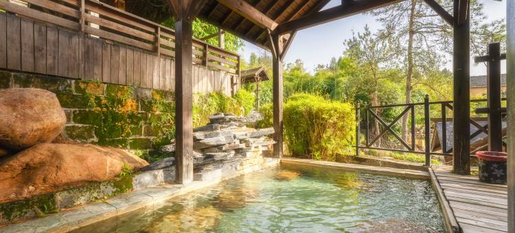 崇阳三特浪口温泉精品酒店图片