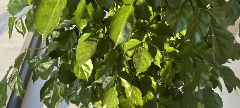 U乐居客栈(行唐县龙州西大街店)图片