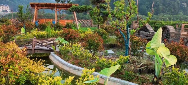 婺源茶园小院图片