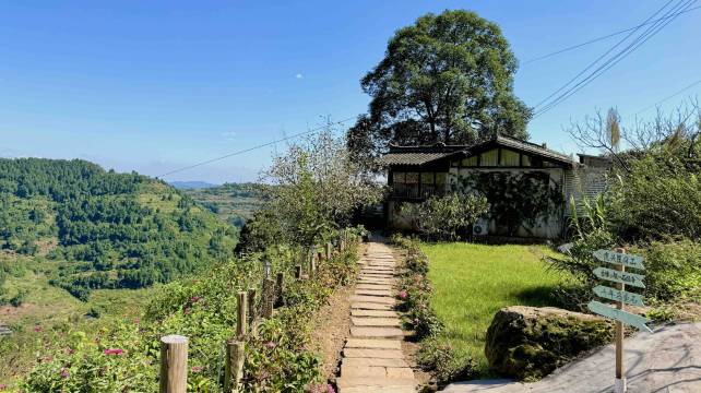 云之下香樟小院