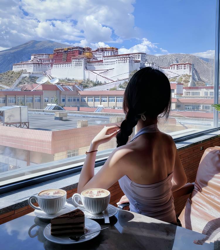 拉萨春秋富氧酒店(布达拉宫八廓街店)图片