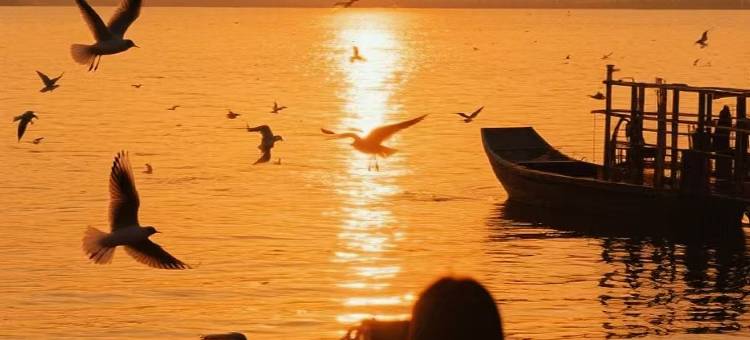 大理洱煦小院民宿(龙龛码头店)图片