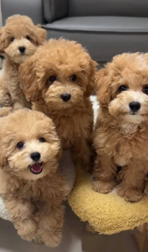 海友酒店(太原康宁街地铁站店)图片