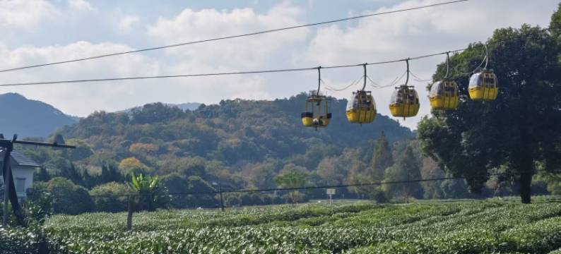 杭州隐兮茶宿(西湖灵隐店)图片