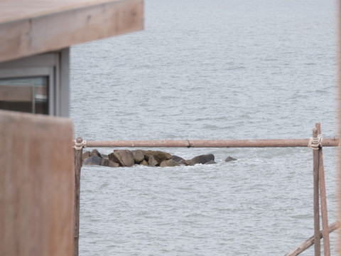 Float camp 浮石营地