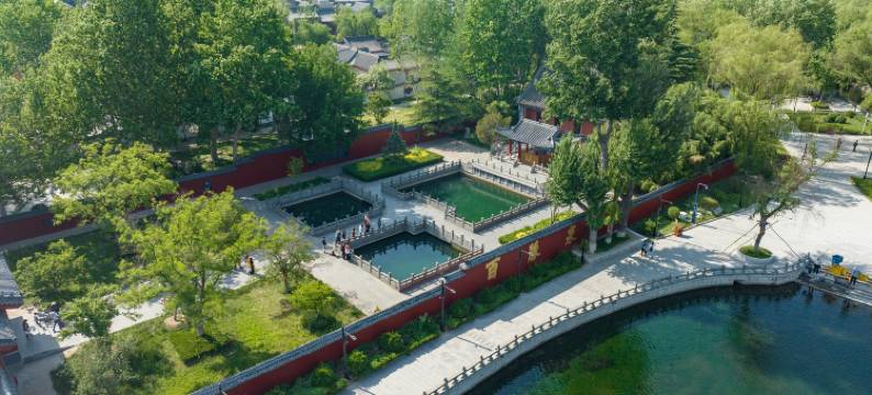 清照泉城蒲公酒店(明水古城店)图片