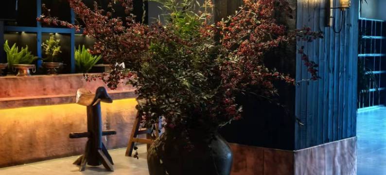 珩邸•古道神泉文化酒店(丽江古城大水车店)图片