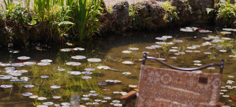 大理沙溪吾栖民宿图片