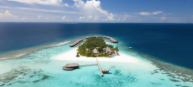 马尔代夫美憬阁米里希V别墅(V Villas Maldives at Mirihi - MGallery Collection)图片