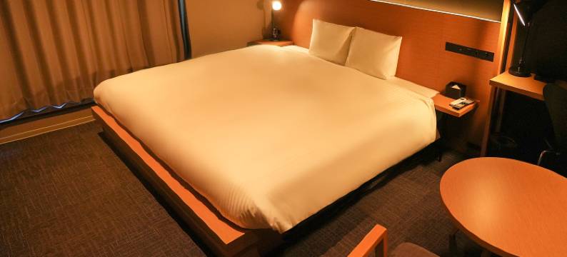 东京秋叶原N+酒店(N+HOTEL Akihabara)图片