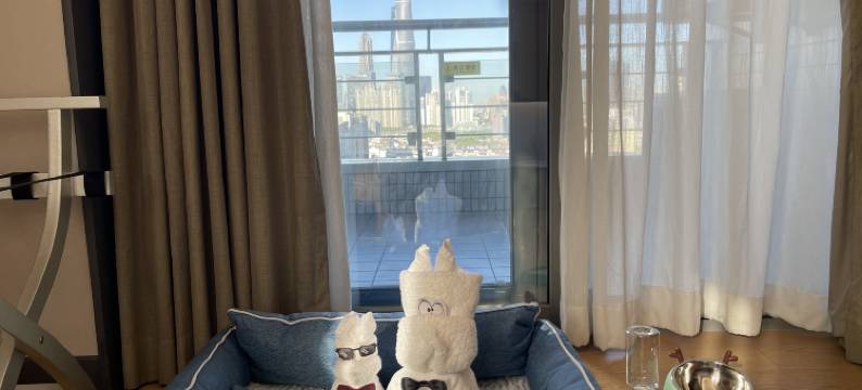 长河国际公寓·新天地图片