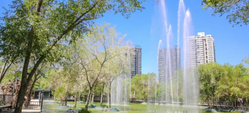 乌鲁木齐野马丝路驿站文化主题沙龙图片