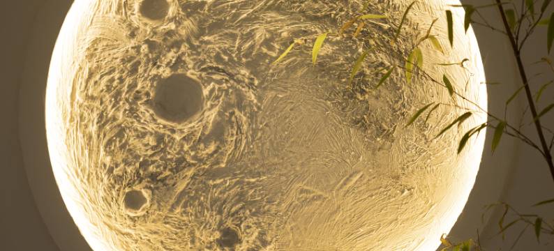 留坝朴匠民宿图片