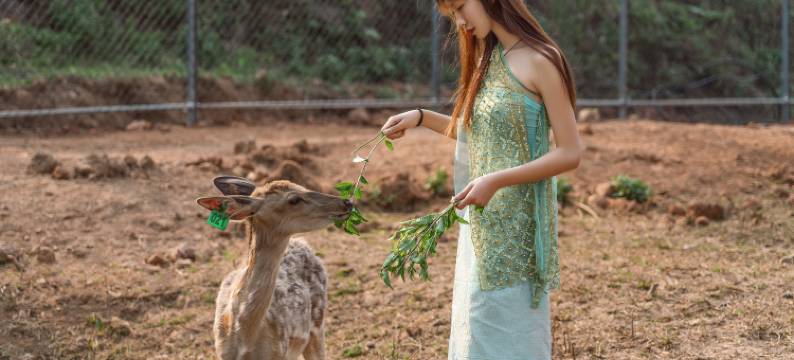 普洱万亩茶园度假酒店(茶博览苑景区店)图片